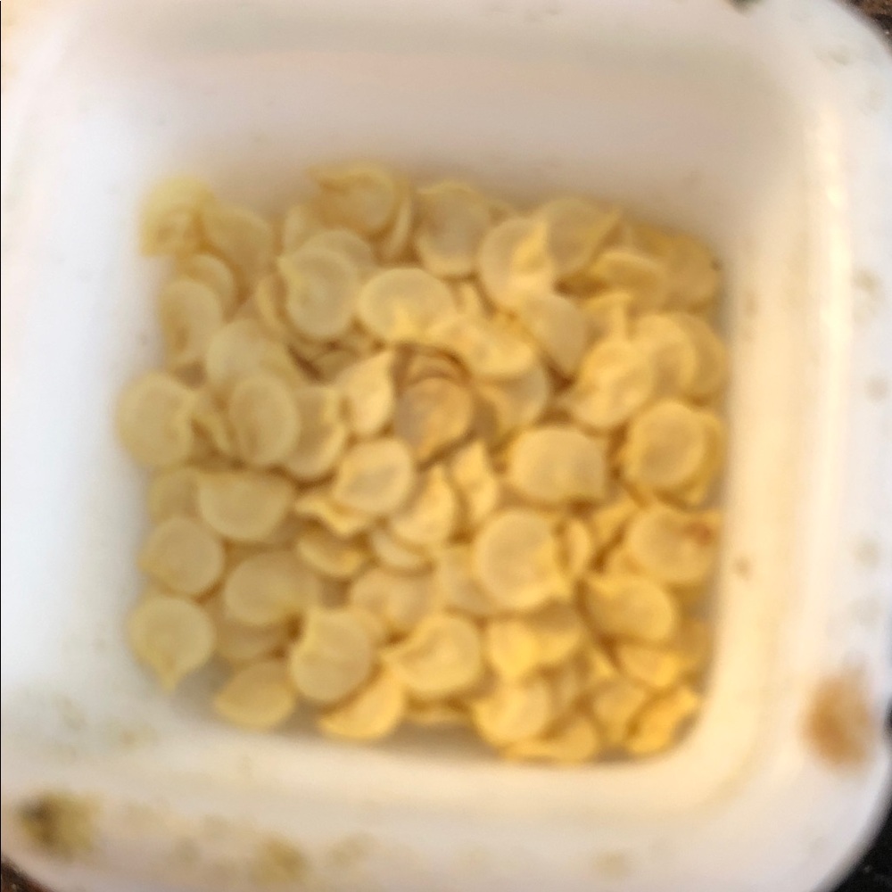 Shishito  pepper Seeds